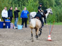 _DSC8217_web